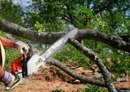 Best Hazardous Tree Removal  in Fairfax Station, VA